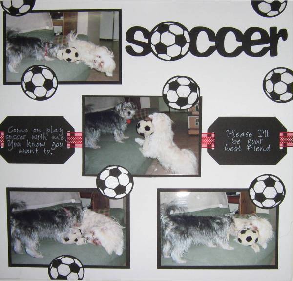 Soccer Dogs