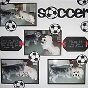 soccer_dogs.jpg