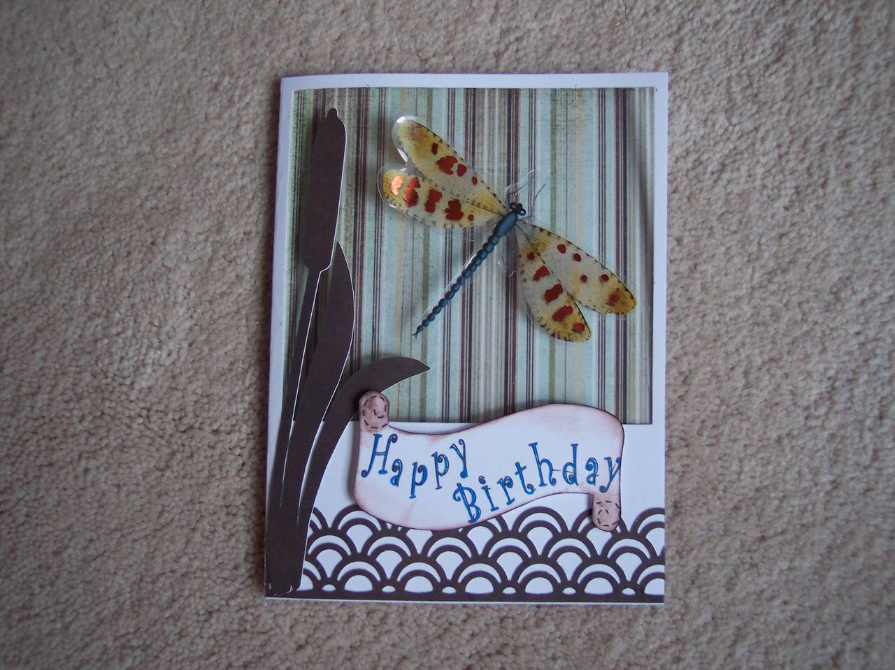 dragonfly