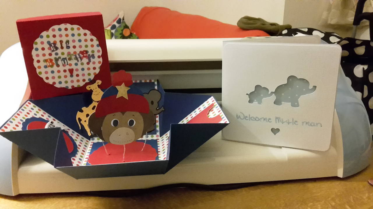 Big brother exploding box &amp; new baby card