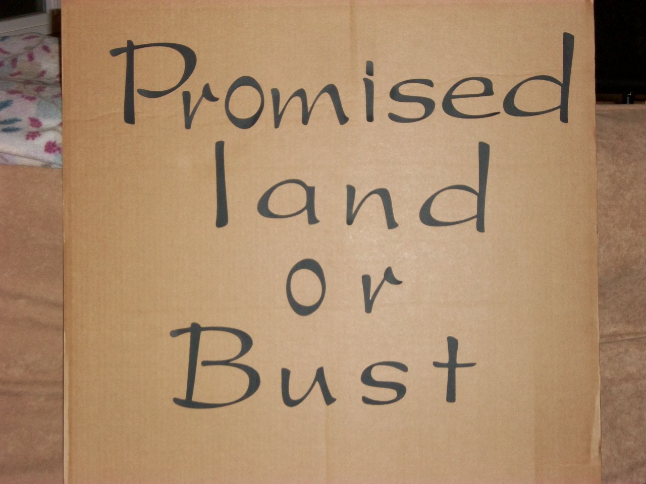 Promised Land           Words  for puppets