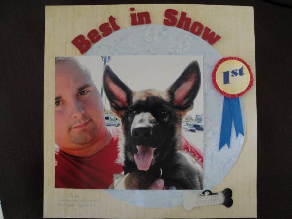 Dog Show