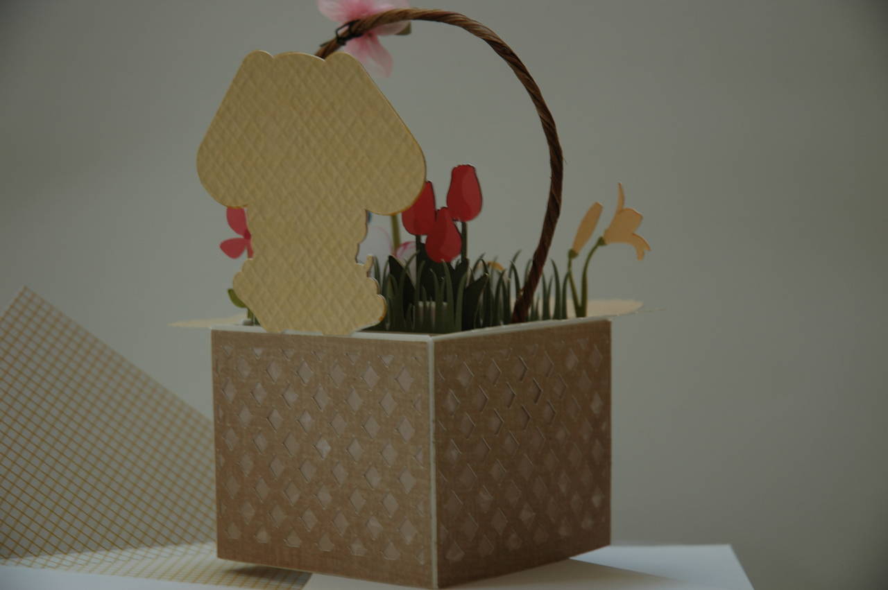 Bunny Box Card