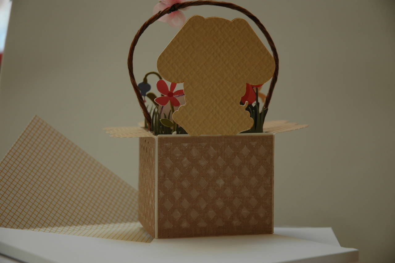 Bunny Box Card