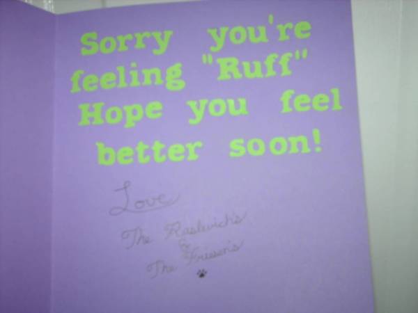 Scooby card