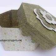 DSC02371_-_hegagonal_-_decorative_box_-_pazzles_-_ilove2cutpaper.jpg