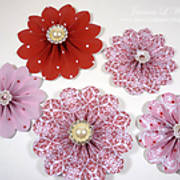 P1060088_-_accordian_fold_rosettes_-_group.jpg