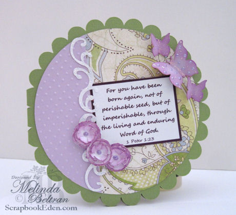 Scalloped Card