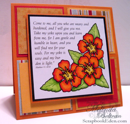 Hibiscus - Matt. 11 Card