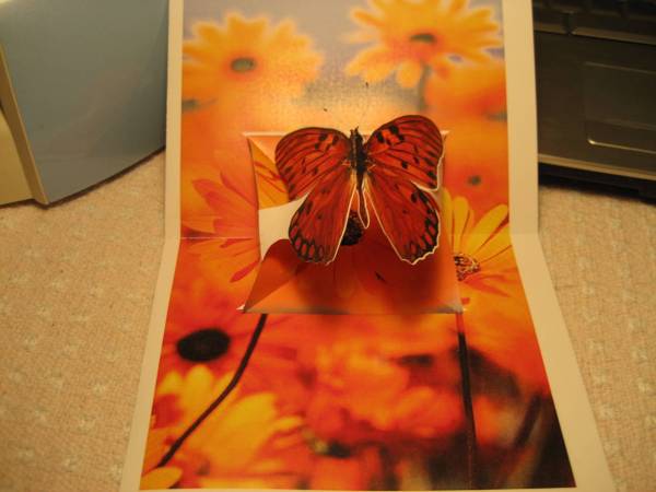 New and Improved Butterfly Pop Up Cards