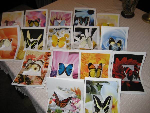 Butterfly Pop Up Cards