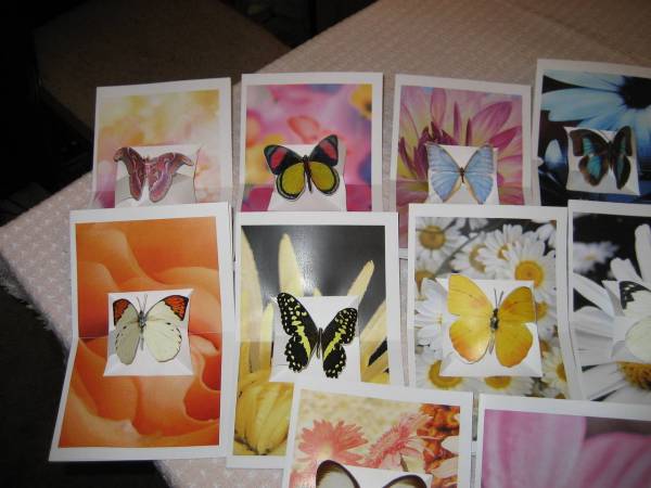 Butterfly Pop Up Cards