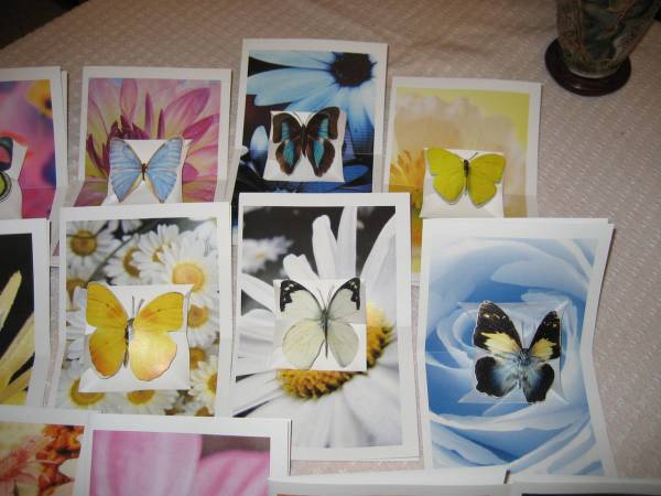 Butterfly Pop Up Cards
