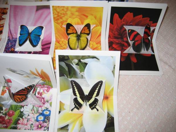 Butterfly Pop Up Cards