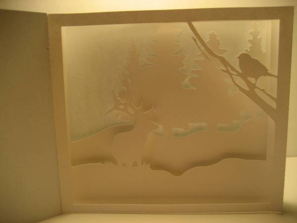 Elk Landscape