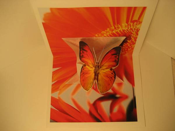 Print &amp;amp; Cut Pop Up Butterfly Card