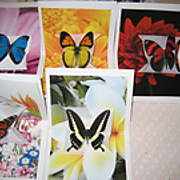 ButterflyCards4.JPG