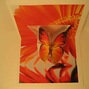 Print_CutButterfly_003.JPG