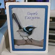 fairywren_card.JPG