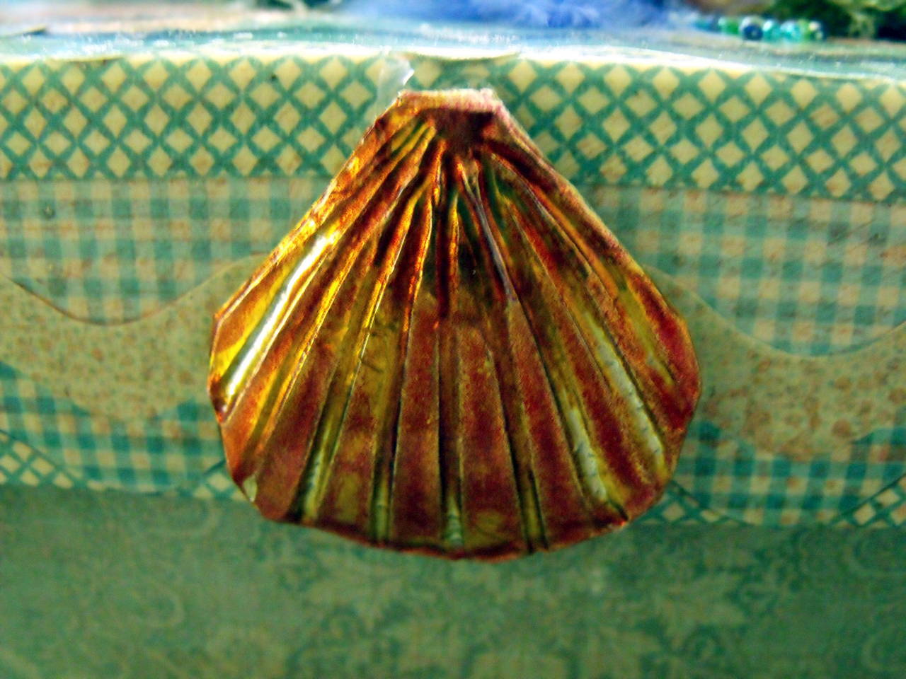 Shell Box