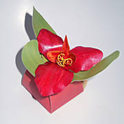 red_orchid_petal_box_2.jpg