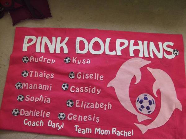 Soccer Team Banner
