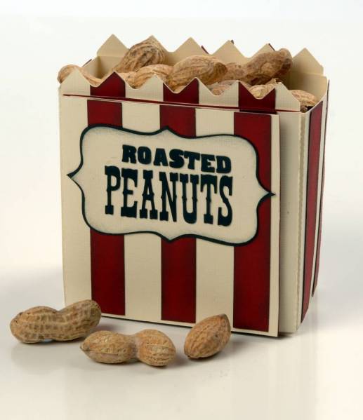 Roasted Peanuts
