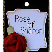 Rose_of_Sharon.jpg