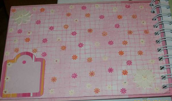 Sweet Baby Girl Scrapbook