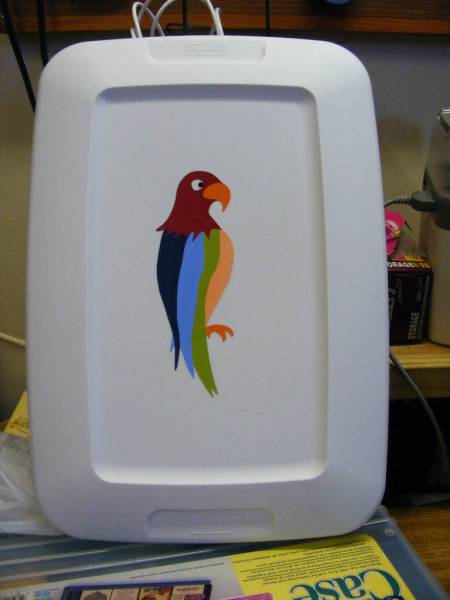 Parrot on storage container lid