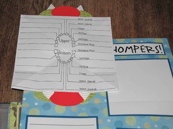 Dental Record