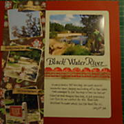 DSC04441.JPG