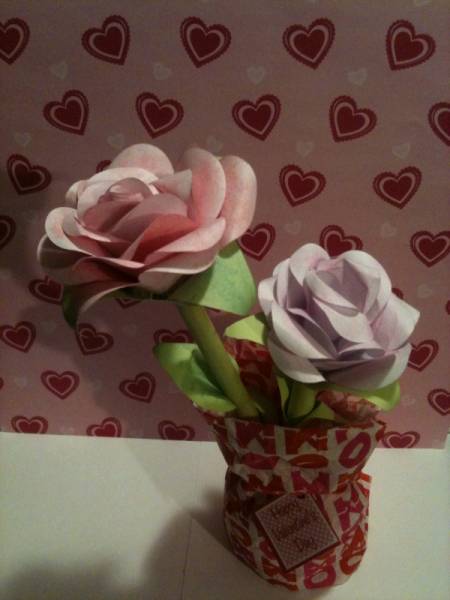 Roses of Love/Friendship