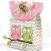 DSC07567_-_Decorated_paper_bag_-_pazzles_-_ilove2cutpaper.jpg