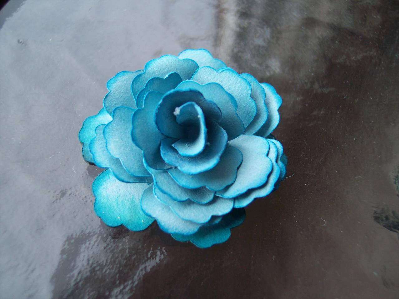 Blue rose