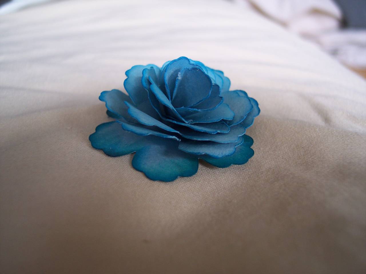 Blue rose