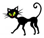 Black Cat
