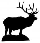 Elk