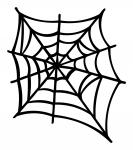Spider Web