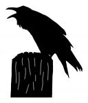 Raven