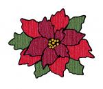 Poinsettia