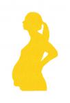 Pregnant Lady