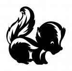 Baby Skunk