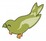 Parakeet