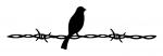 Bird on a Wire