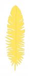 Downy Feather