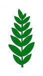 Fern Leaf