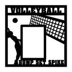 Volleyball Overlay