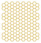 Honeycomb Overlay 12x12