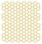 Honeycomb Overlay 12x12